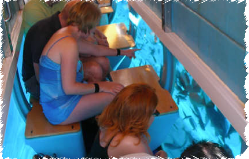 Glass Bottom Boat – Beluga Submarine