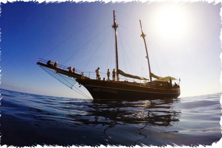 10% Discount on All Tours
