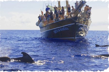 10% Discount on All Tours
