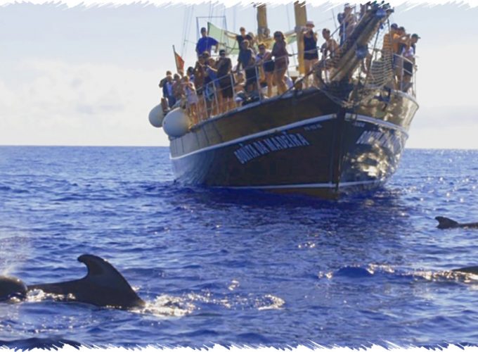 10% Discount on All Tours
