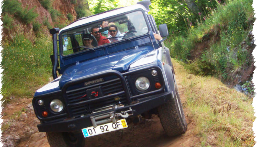 10% Discount on All Tours