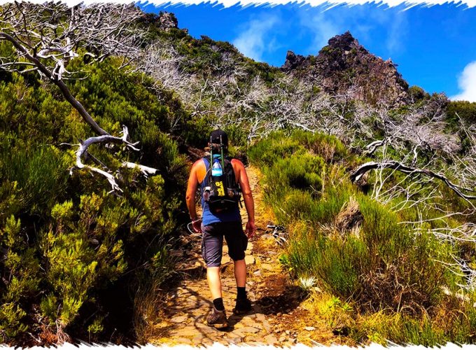 10% Discount on All Tours