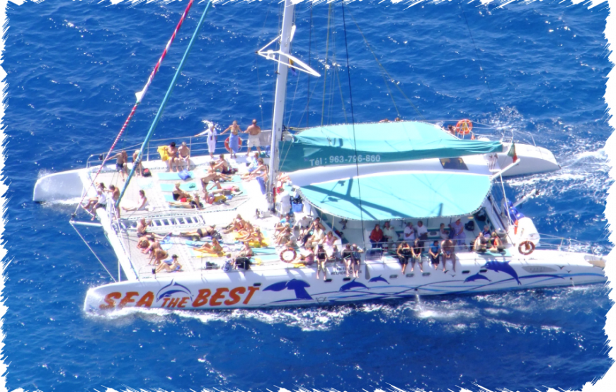 Madeira Catamaran – Dolphin and Whale Watching