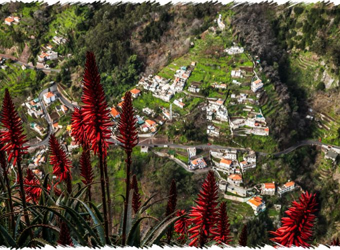 10% Discount on All Tours