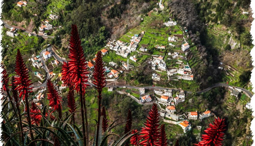 10% Discount on All Tours