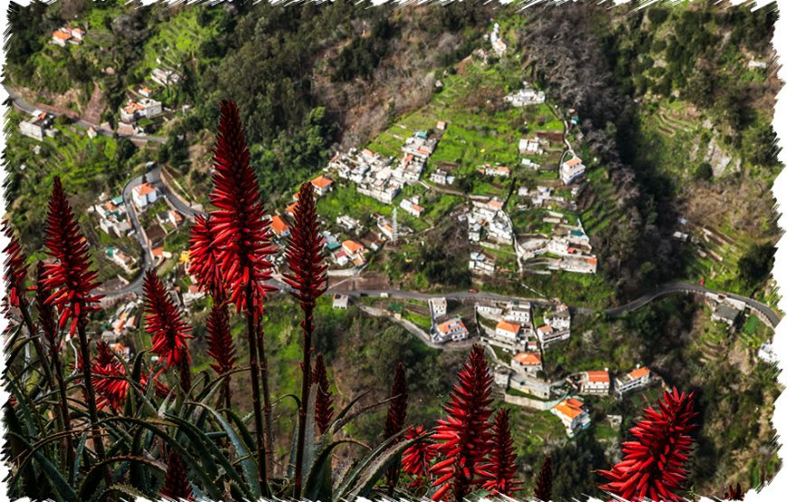 Nuns Valley Tour