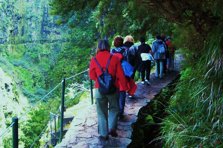 Madeira Queimadas Walk