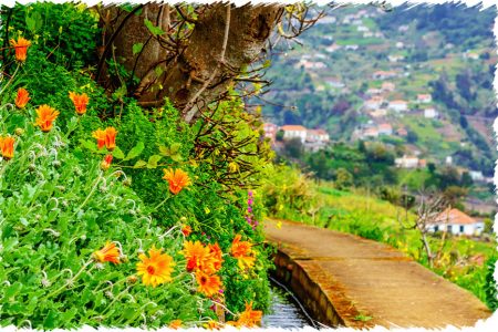 10% Discount on All Tours