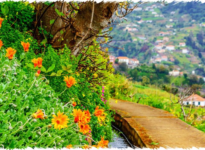 10% Discount on All Tours