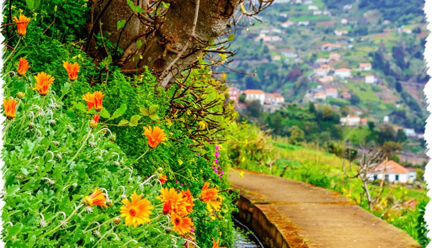 10% Discount on All Tours