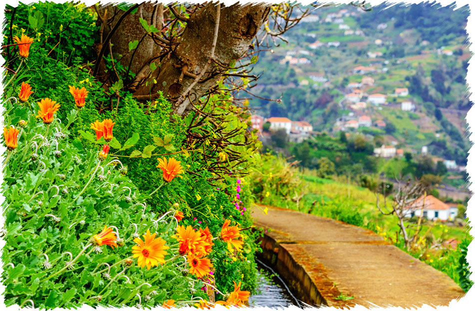 Referta Walk Madeira