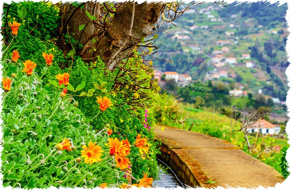 Referta Walk Madeira