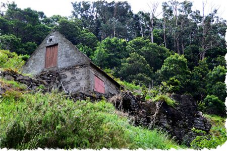 10% Discount on All Tours
