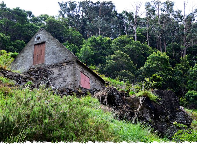 10% Discount on All Tours