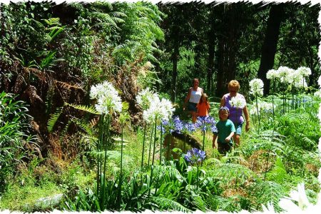 10% Discount on All Tours