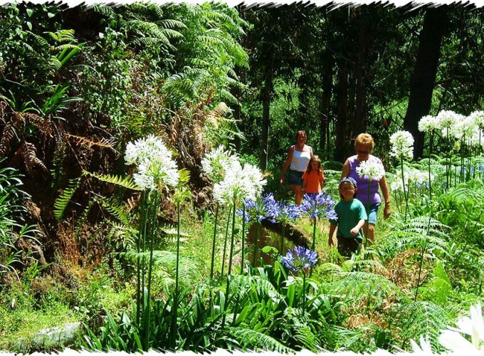 10% Discount on All Tours