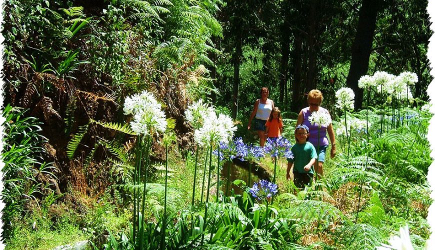 10% Discount on All Tours