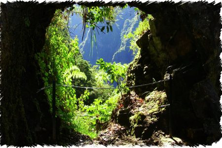 10% Discount on All Tours