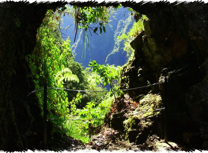 10% Discount on All Tours