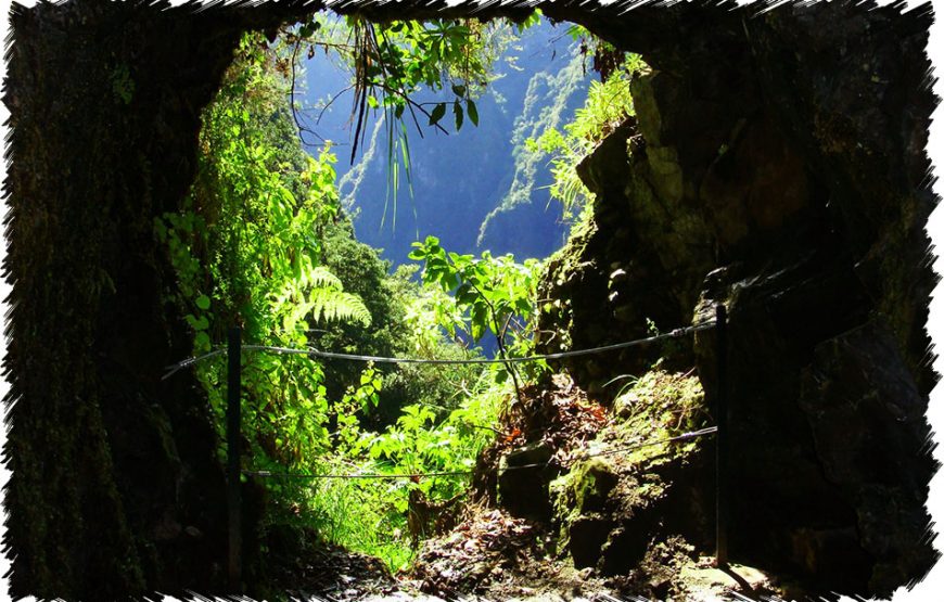 Queimadas Walk