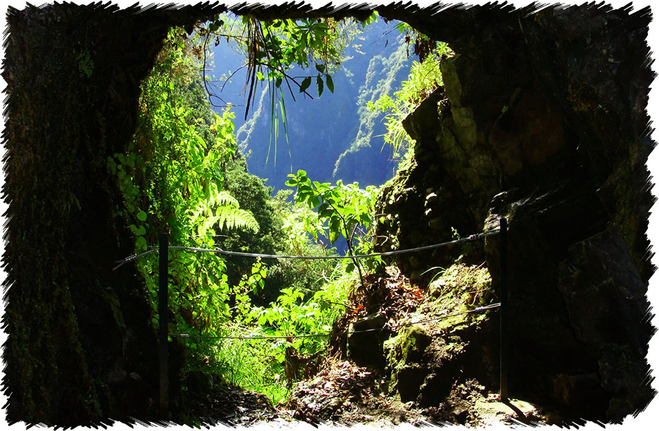 Queimanads Walk Madeira