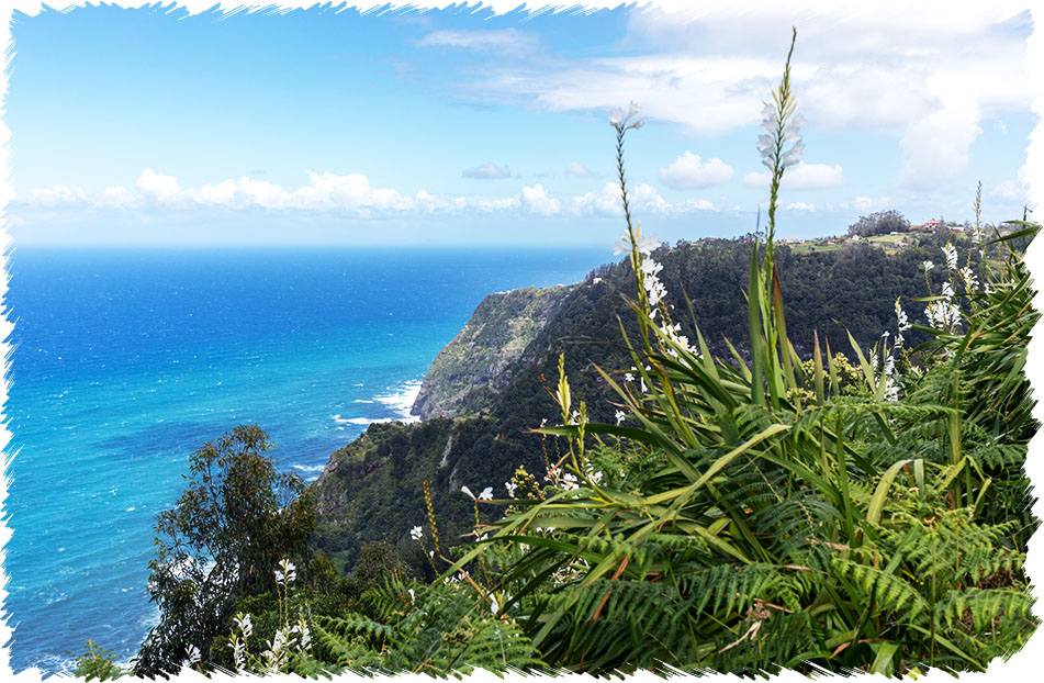 Quinta Grande Walk Madeira