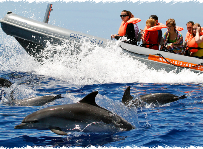 10% Discount on All Tours