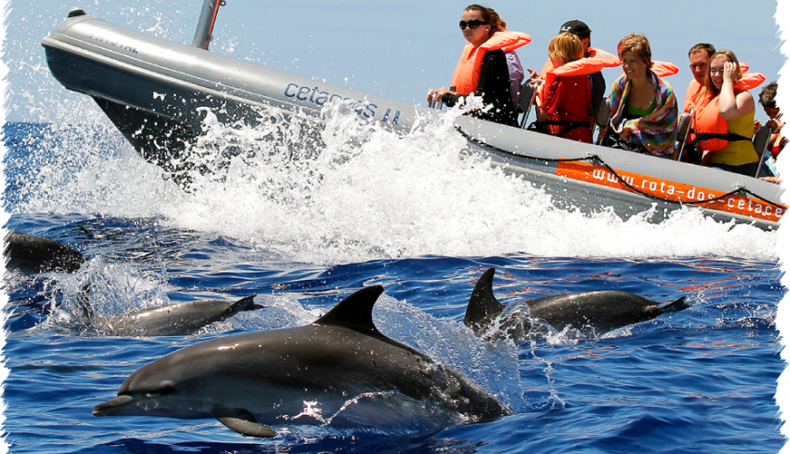 10% Discount on All Tours