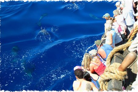 10% Discount on All Tours