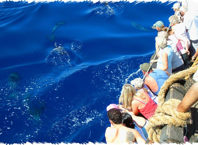 10% Discount on All Tours