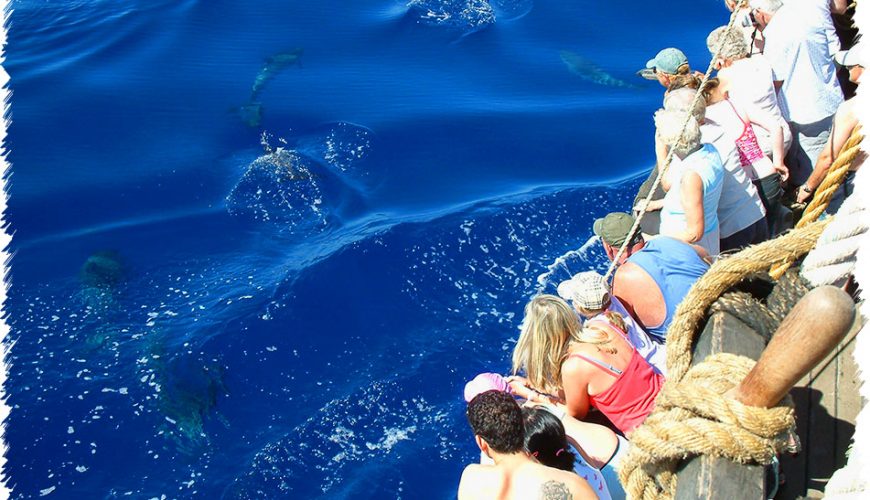 10% Discount on All Tours