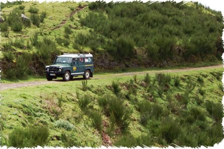 10% Discount on All Tours