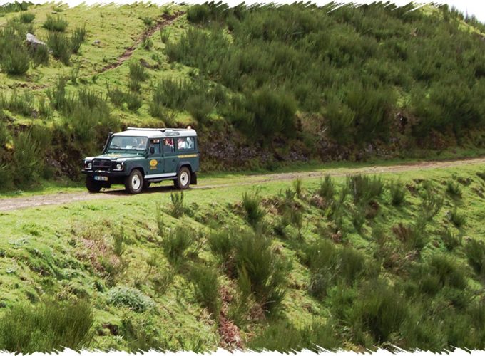 10% Discount on All Tours