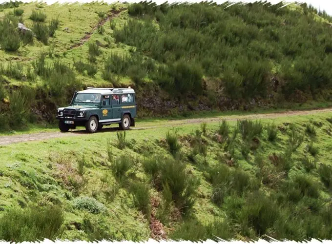 10% Discount on All Tours