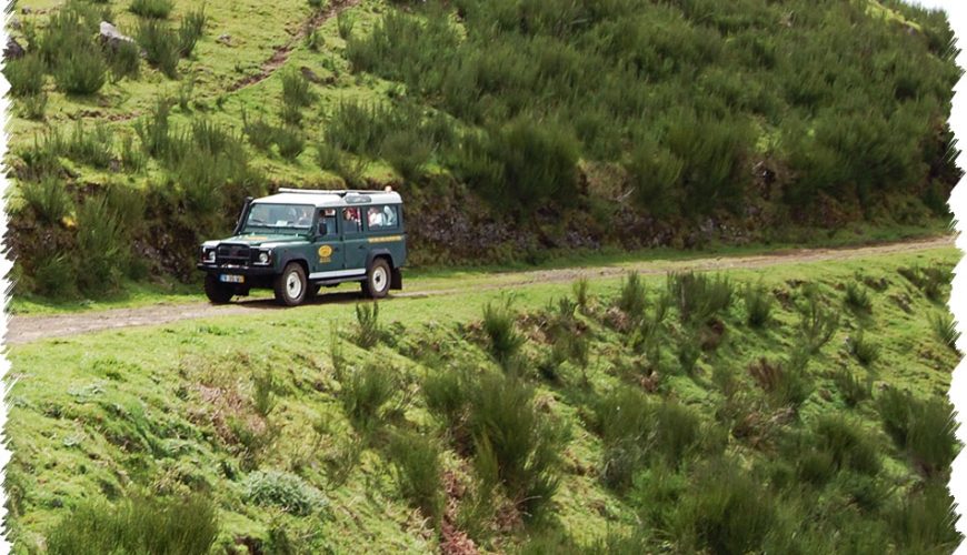 10% Discount on All Tours