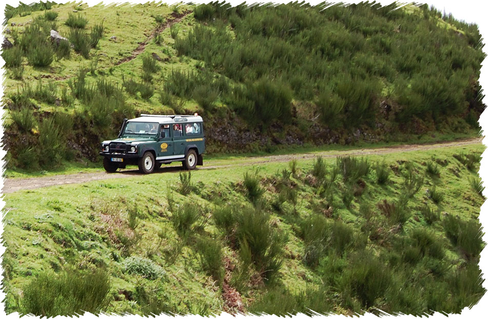 Southeast Jeep Tour in Madeira