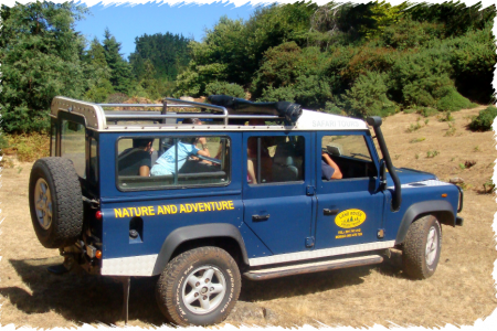 10% Discount on All Tours