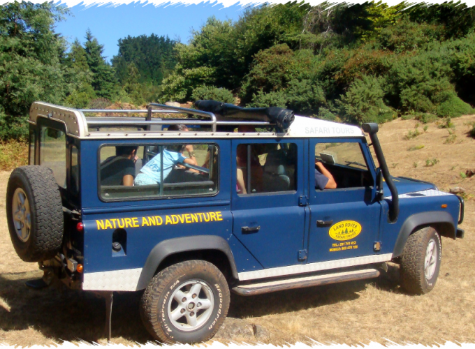 10% Discount on All Tours