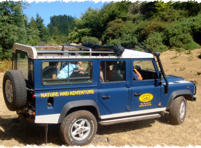 10% Discount on All Tours