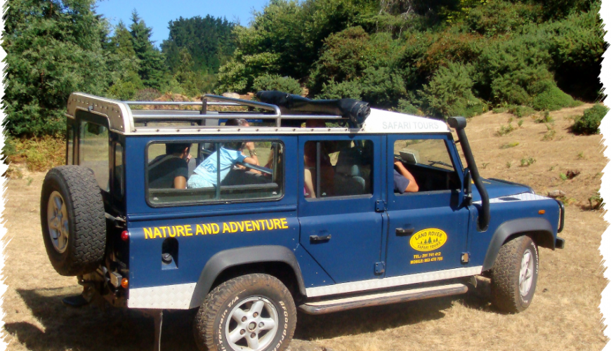 10% Discount on All Tours