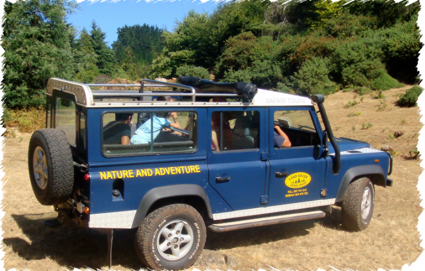 Southwest Jeep Tour