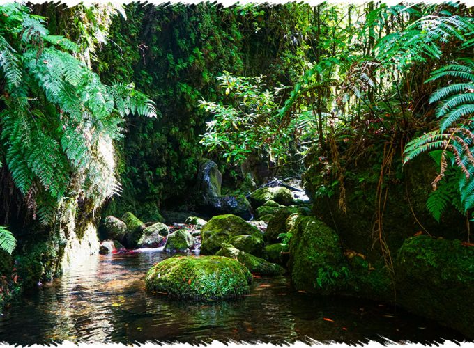 10% Discount on All Tours