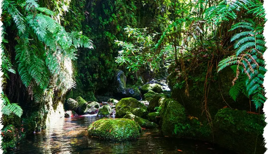 10% Discount on All Tours