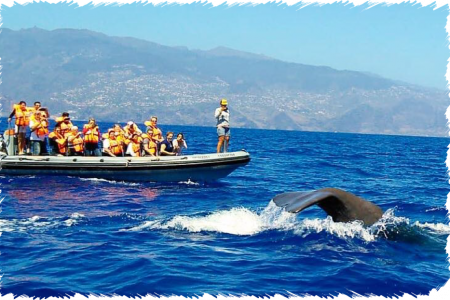 10% Discount on All Tours