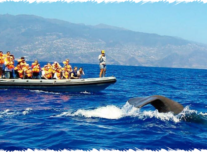 10% Discount on All Tours