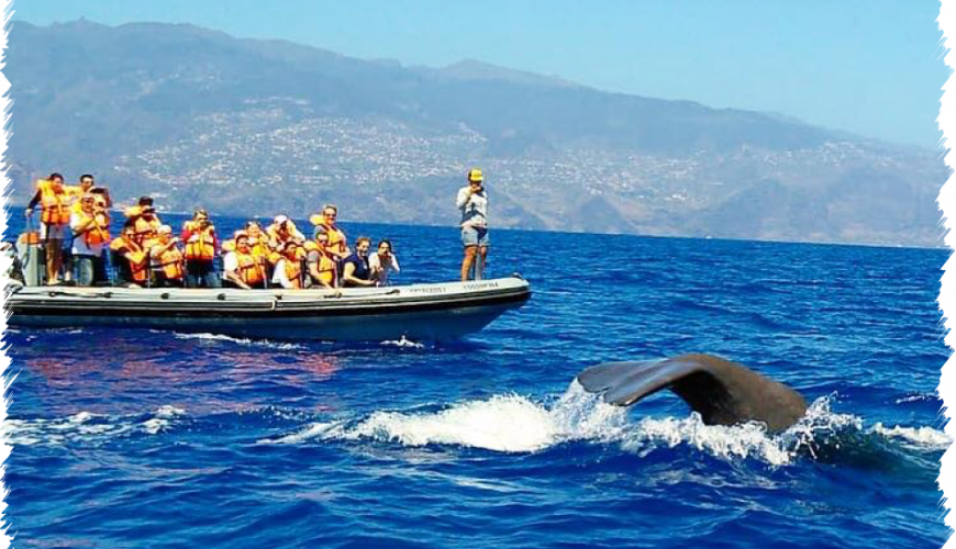 10% Discount on All Tours