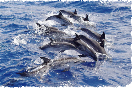 10% Discount on All Tours