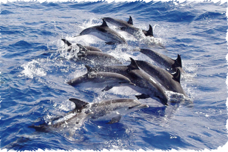 10% Discount on All Tours
